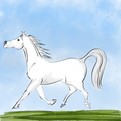 Obraz na płótnie Canvas Pferd in Bewegung