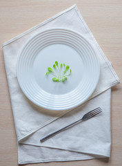 The humorous concept of Haute cuisine. Young salad on a white plate. 
