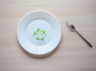 The humorous concept of Haute cuisine. Young salad on a white plate. 
