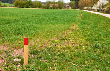 Markierter Grenzverlauf bei der Landvermessung