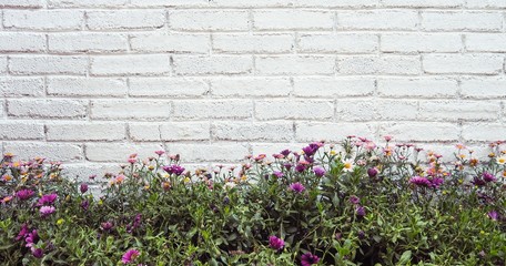 Fototapeta na wymiar Beautiful Flower Garden and White Brick Wall Background