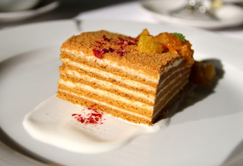 Macro photo of tasty honey cake with orange