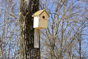 spring birdhouses on trees in the Park