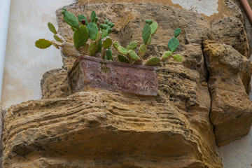 This is a cactus pot carved from rock bed 