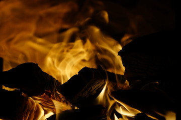 fire wood. burning wood. fireplace