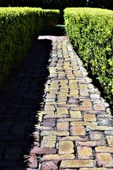 Hedged Brick Path