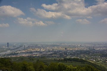 Fototapeta na wymiar view over Vienna from nearby vineyards