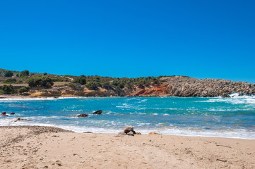 Fototapeta na wymiar Beautiful summer landscape with a rocky beach