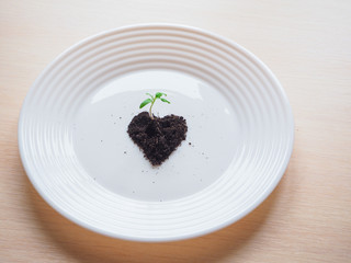 The concept of hunger and food shortages. Heart of from land and a small sprout on a white plate.


