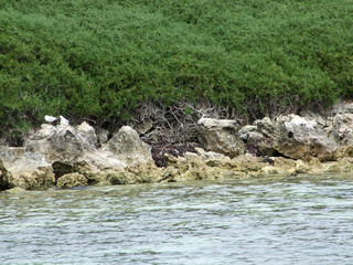 Rockingham beach 