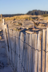 Old wood fence near coast