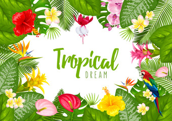 Summer tropical frame design