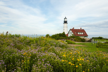 Fototapeta na wymiar Maine's Oldest Lighthouse Among Summer Wildflowers