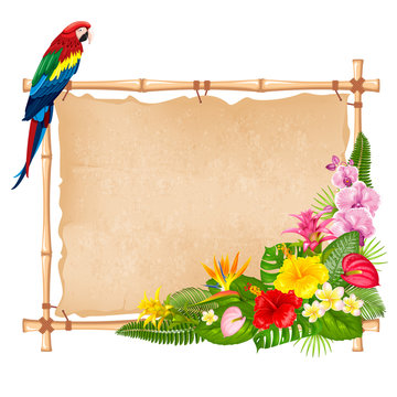 Summer tropical frame design