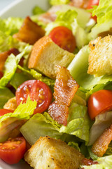 Healthy BLT Salad with Croutons