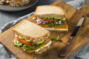 Healthy Homemade Vegetarian Veggie Sandwich