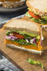 Healthy Homemade Vegetarian Veggie Sandwich
