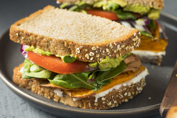 Healthy Homemade Vegetarian Veggie Sandwich