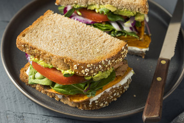Healthy Homemade Vegetarian Veggie Sandwich