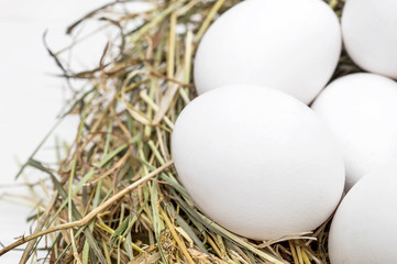 Nest with eggs on white wooden table. Close up.