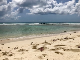 Fototapeta na wymiar Idyllic and beautiful beach in Barbados (Caribbean island): Nobody, white sand, turquoise water, waves and white clouds