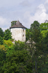 Fototapeta na wymiar Castle ruins in Ojcow National Park - Poland