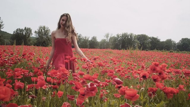 Sensual girl in poppy field. Young girl in the field. Girl laying in the field. Girl having fun in the flowwer field. Fild of flowers.