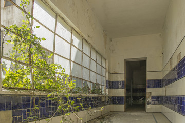 abandoned sanatorium - obrazy, fototapety, plakaty