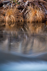 Wet Beaver Creek in Arizona