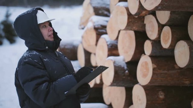 Worker with tablet against pile of logs 