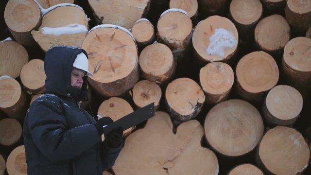 Worker with tablet against pile of logs 