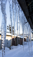 icicle, frozen water