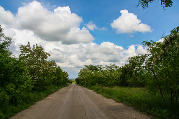 Fototapeta na wymiar A country road in the spring