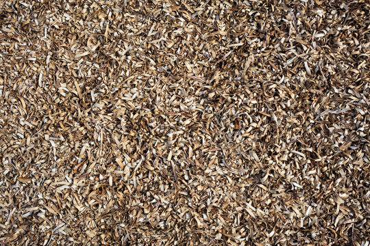 Dried seaweed full background, texture, closeup view with details
