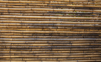 Old weathered bamboo texture, background, closeup view with details