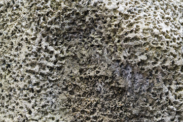 Porous stone surface texture closeup