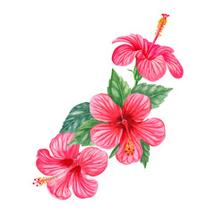 Obraz premium hibiscus