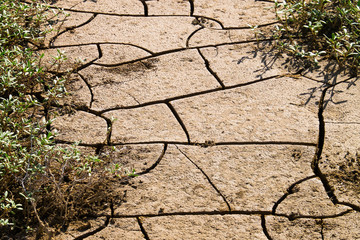 Dry cracked soil, texture background, Peru