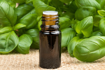 A bottle of basil essential oil with fresh basil twigs