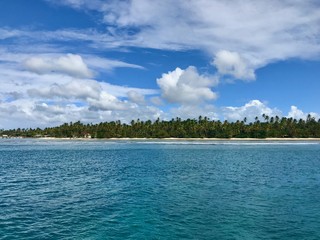 Beautiful view of the Caribbean island of Tobago (Trinidad - West Indies) from a boat: sand beach, palm trees, turquoise water and blue sky with white clouds