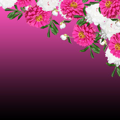 Beautiful floral background of pions and tsiny 