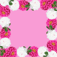 Beautiful floral background of pions and tsiny 