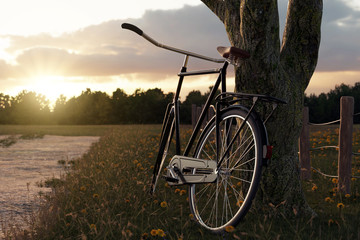 Fototapeta premium angelehntes fahrrad am baum im sonnenuntergaang