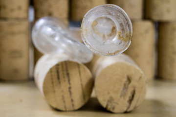 Accessories for home-made wine and alcohol products. Dirty fermentation tube for the fermented wine tank.