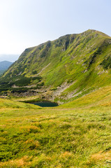 View of a mountain cliff with a foreground. Summer landscape of mountains.