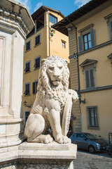 Obraz premium Sculpture of a lion near the Basilica of Santa Croce (Basilica of the Holy Cross) in the square with the same name in Florence, Tuscany, Italy. Florence is a popular tourist destination in Europe.