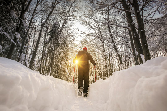 Low angle view of hiker walking on the path with fresh deep snow in the forest on the hill at sunset.