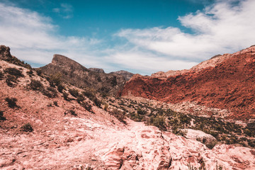 Red rocks canyon in Las Vegas