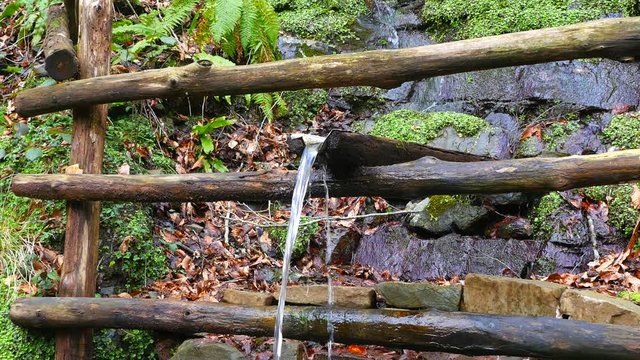 Mountain spring gushes from the rock