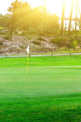 Obraz premium a fragment golf course with flagsticks at holes in the pine forest